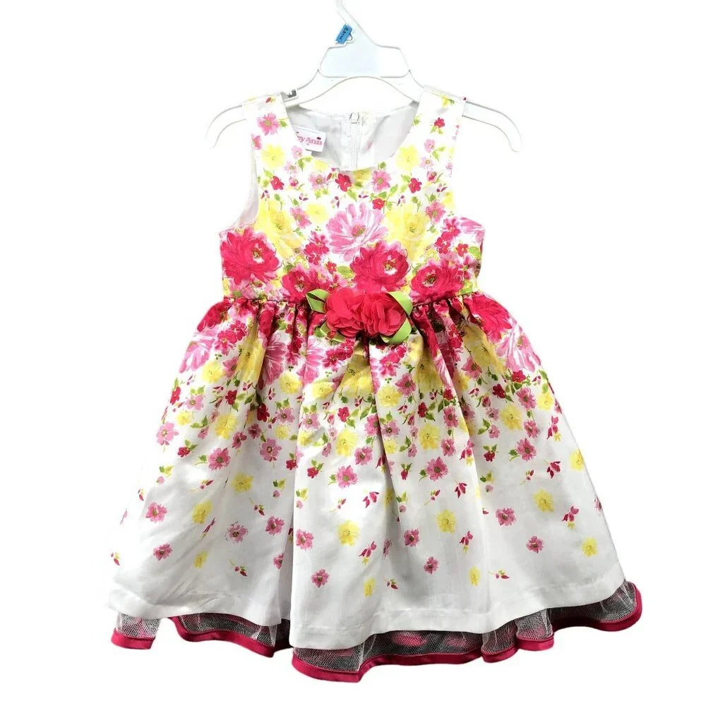 Ashley Anne Sleeveless Dress Girls 2T Floral‎ Pink Lace White Summer Formal